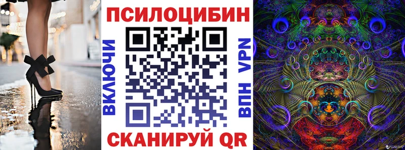 магазин продажи   Чекалин  Псилоцибиновые грибы ЛСД 